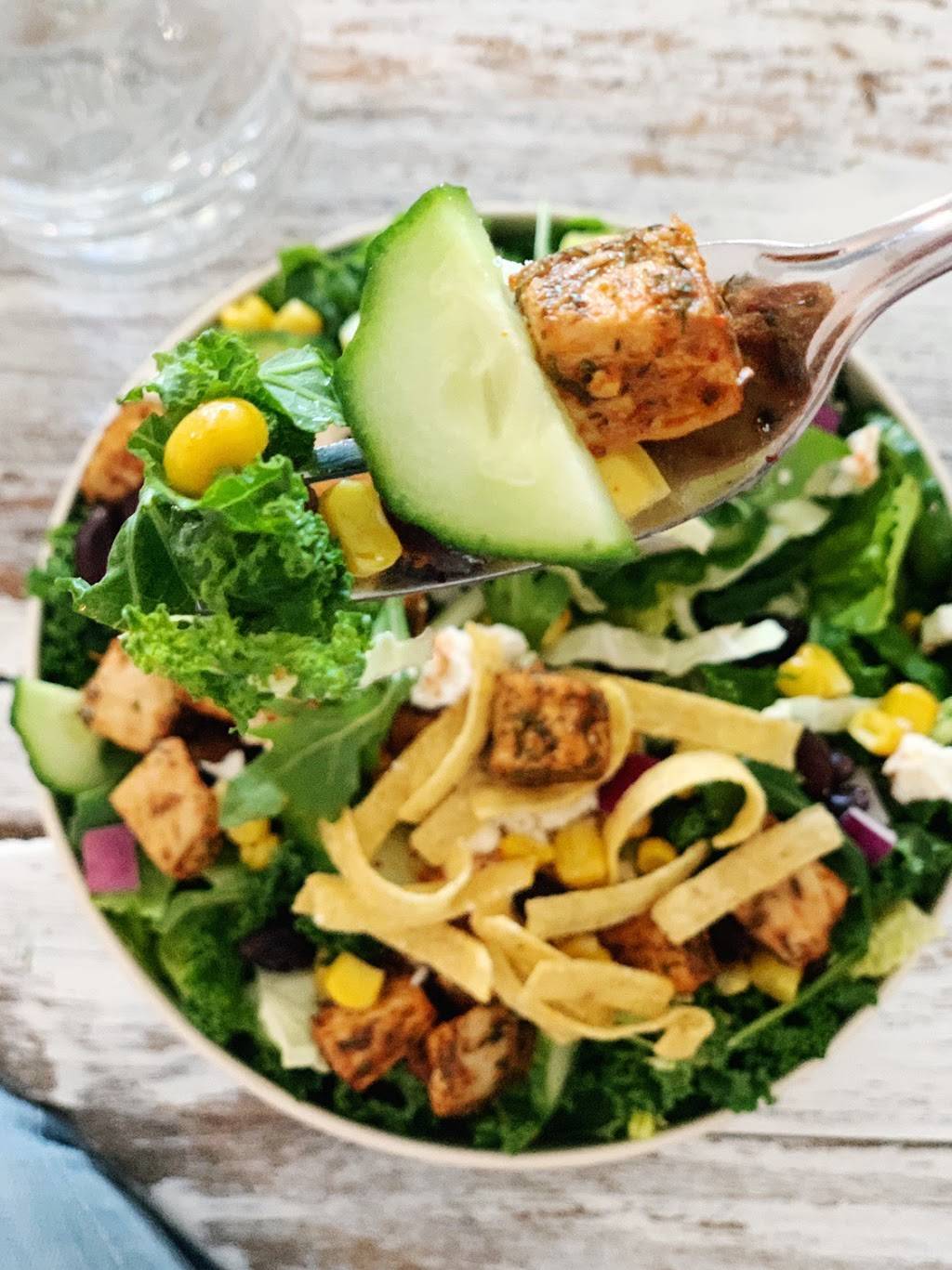 Mad Radish | restaurant | 859 Bank St, Ottawa, ON K1S 3W2, Canada | 6134214564 OR +1 613-421-4564