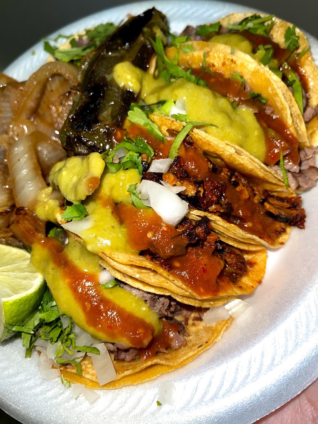 Mini tacos el gallo de oro | restaurant | 2011 Austin Hwy, San Antonio, TX 78218, USA | 2104765650 OR +1 210-476-5650