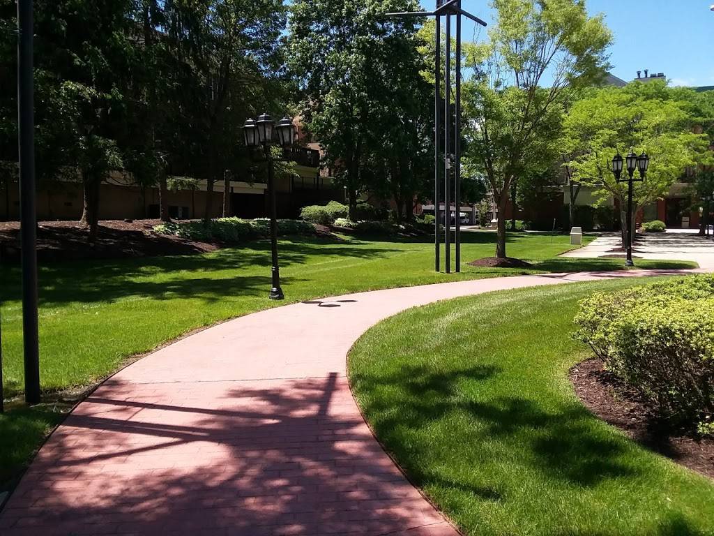 Starbucks | cafe | 480 Evesham Rd, Cherry Hill, NJ 08003, USA | 8564270268 OR +1 856-427-0268