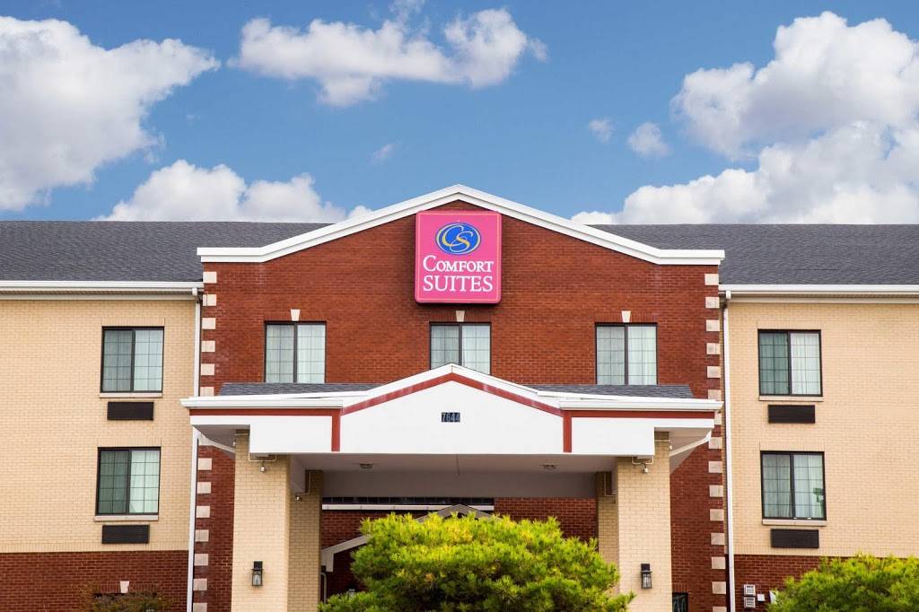 Comfort Suites South | restaurant | 7644 Caterpillar Ct SW, Grand Rapids, MI 49548, USA | 6163012255 OR +1 616-301-2255