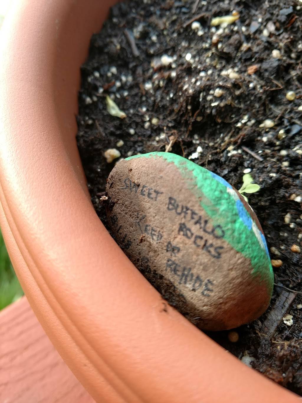 Ship N Shore | restaurant | 5612 Tonawanda Creek Rd #9541, Lockport, NY 14094, USA | 7166256106 OR +1 716-625-6106