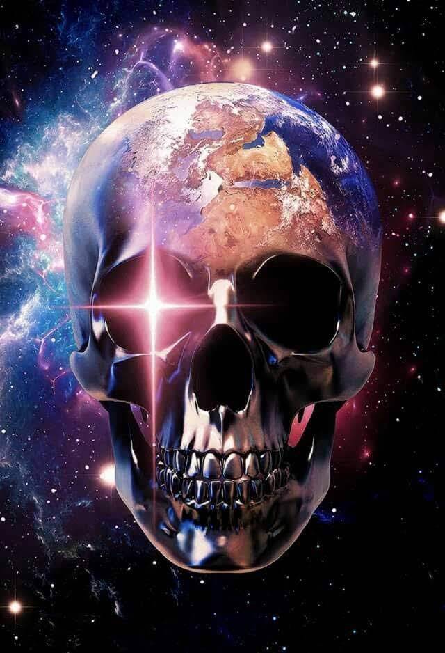 Kennedy Fried Chicken | restaurant | 1359 E Gun Hill Rd, Bronx, NY 10469, USA | 7185158990 OR +1 718-515-8990