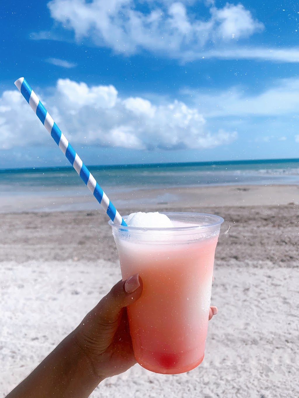 OpenSeas Cafe | restaurant | 6747 Crandon Blvd, Key Biscayne, FL 33149, USA | 3056065288 OR +1 305-606-5288