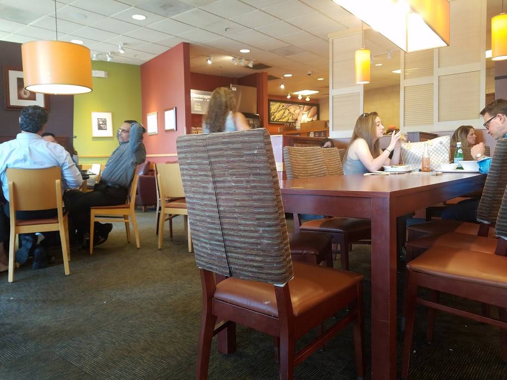 Panera Bread | bakery | 13672 SW 88th St, Miami, FL 33186, USA | 3054084801 OR +1 305-408-4801