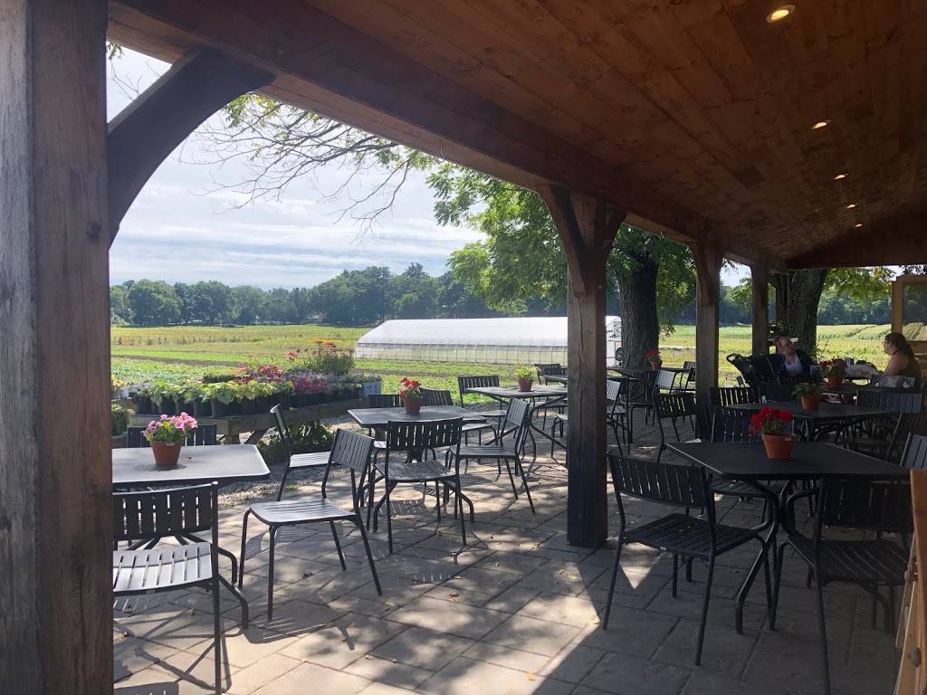 The Farmers Porch at Tangerinis Farm | cafe | 139 Spring St, Millis, MA 02054, USA | 5083765024 OR +1 508-376-5024