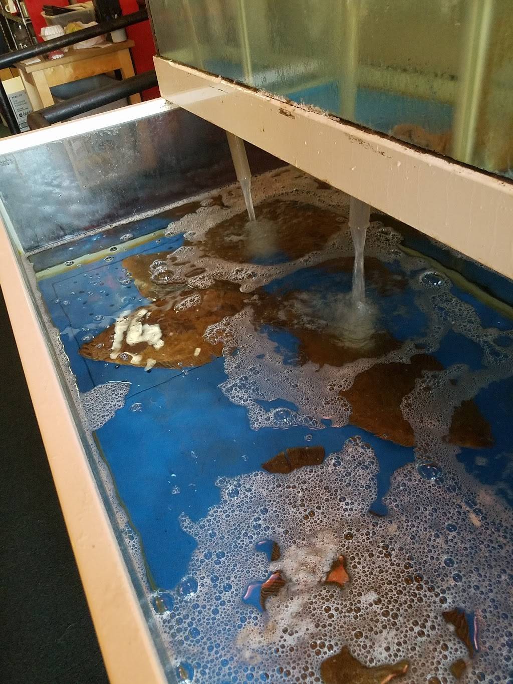 Koryo Sushi | restaurant | 4390 Telegraph Ave D, Oakland, CA 94609, USA | 5105940661 OR +1 510-594-0661