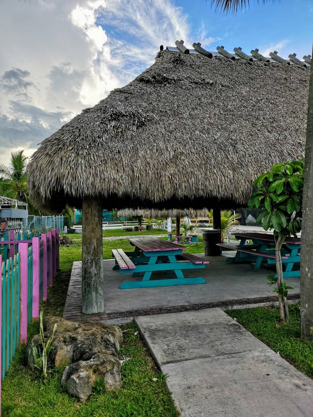 Mexiote | restaurant | 6401 Sheridan St, Hollywood, FL 33024, USA | 9542982881 OR +1 954-298-2881