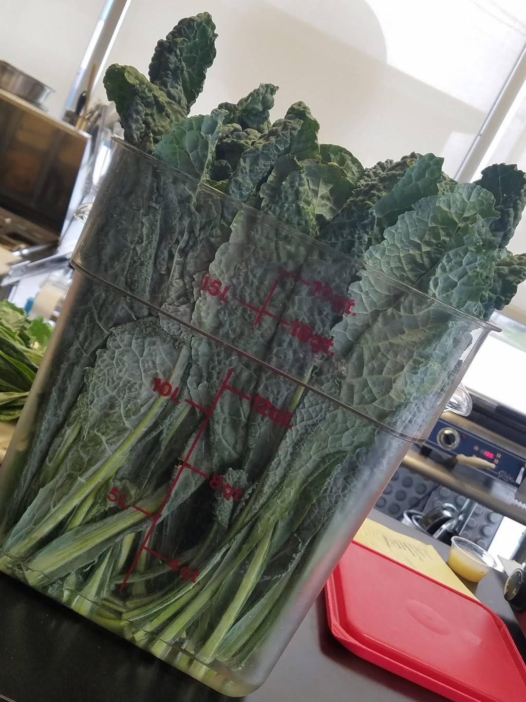 Eco Bean Cafe | cafe | 688 Pine St, Burlington, VT 05401, USA | 8024972075 OR +1 802-497-2075