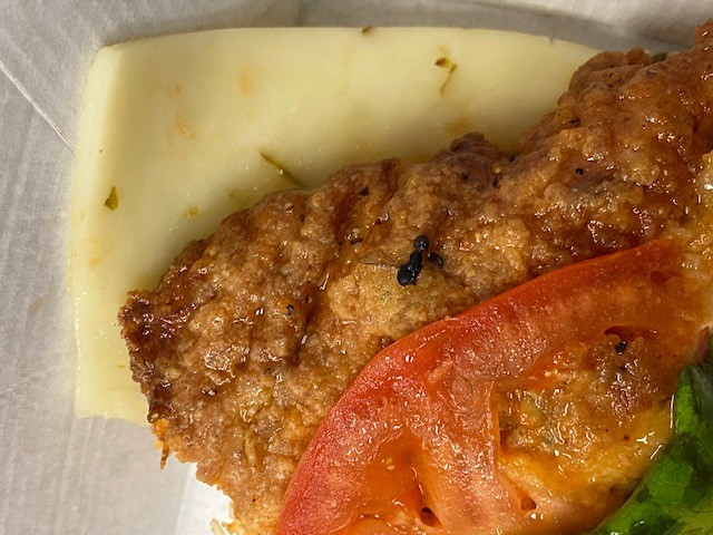 Chick-fil-A | restaurant | 4109 Faudree Rd, Odessa, TX 79765, USA | 4326144403 OR +1 432-614-4403