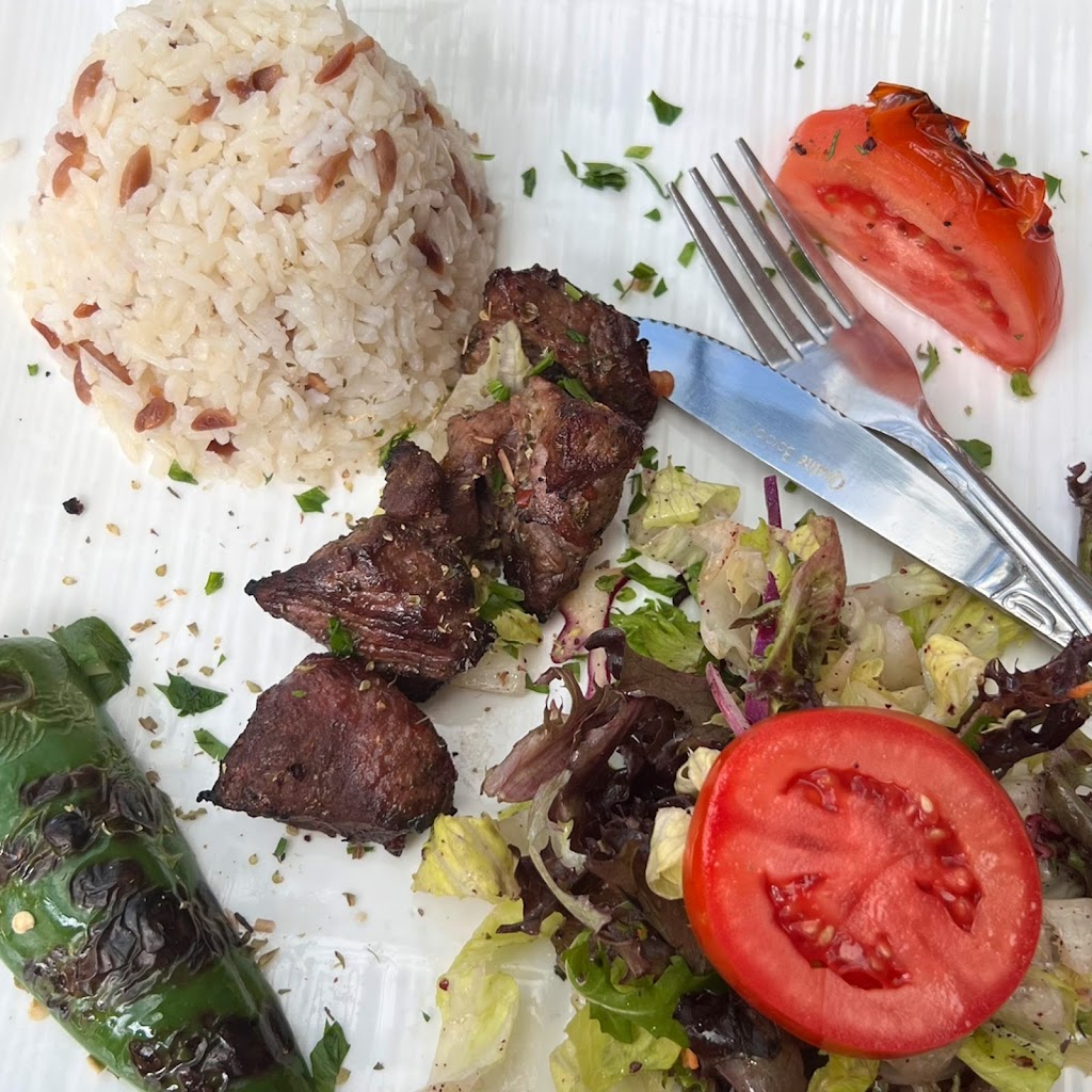 Oba Grill | restaurant | 104-02 Metropolitan Ave, Queens, NY 11375, USA | 7183390013 OR +1 718-339-0013