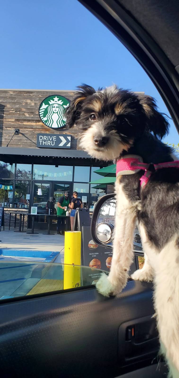 Starbucks | cafe | 10988 Bellegrave Ave Unit 100, Jurupa Valley, CA 91752, USA | 9513619352 OR +1 951-361-9352