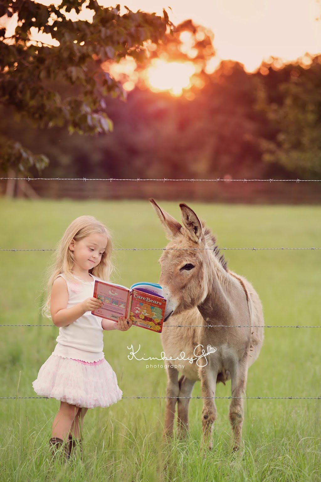 SoulFull Family Farm & Market | restaurant | 2901 County Rd 381, Cleveland, TX 77328, USA | 6198226080 OR +1 619-822-6080