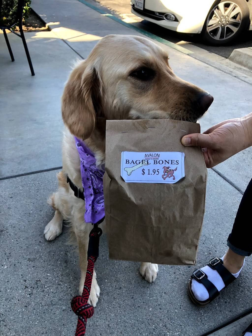 Avalon Bagels To Burgers | bakery | 16961 E Imperial Hwy E, Yorba Linda, CA 92886, USA | 7145793012 OR +1 714-579-3012