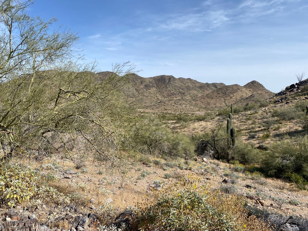 Lazy KJ Ranch - Bisbees Homegrown Barbecue, LLC | restaurant | 4977 Oro Rd, Bisbee, AZ 85603, USA | 5099519145 OR +1 509-951-9145