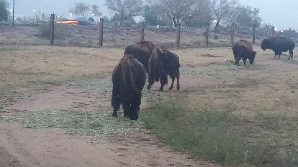 Subway | meal takeaway | 100 Bien Mur Dr NE, Albuquerque, NM 87113, USA | 5058215400 OR +1 505-821-5400