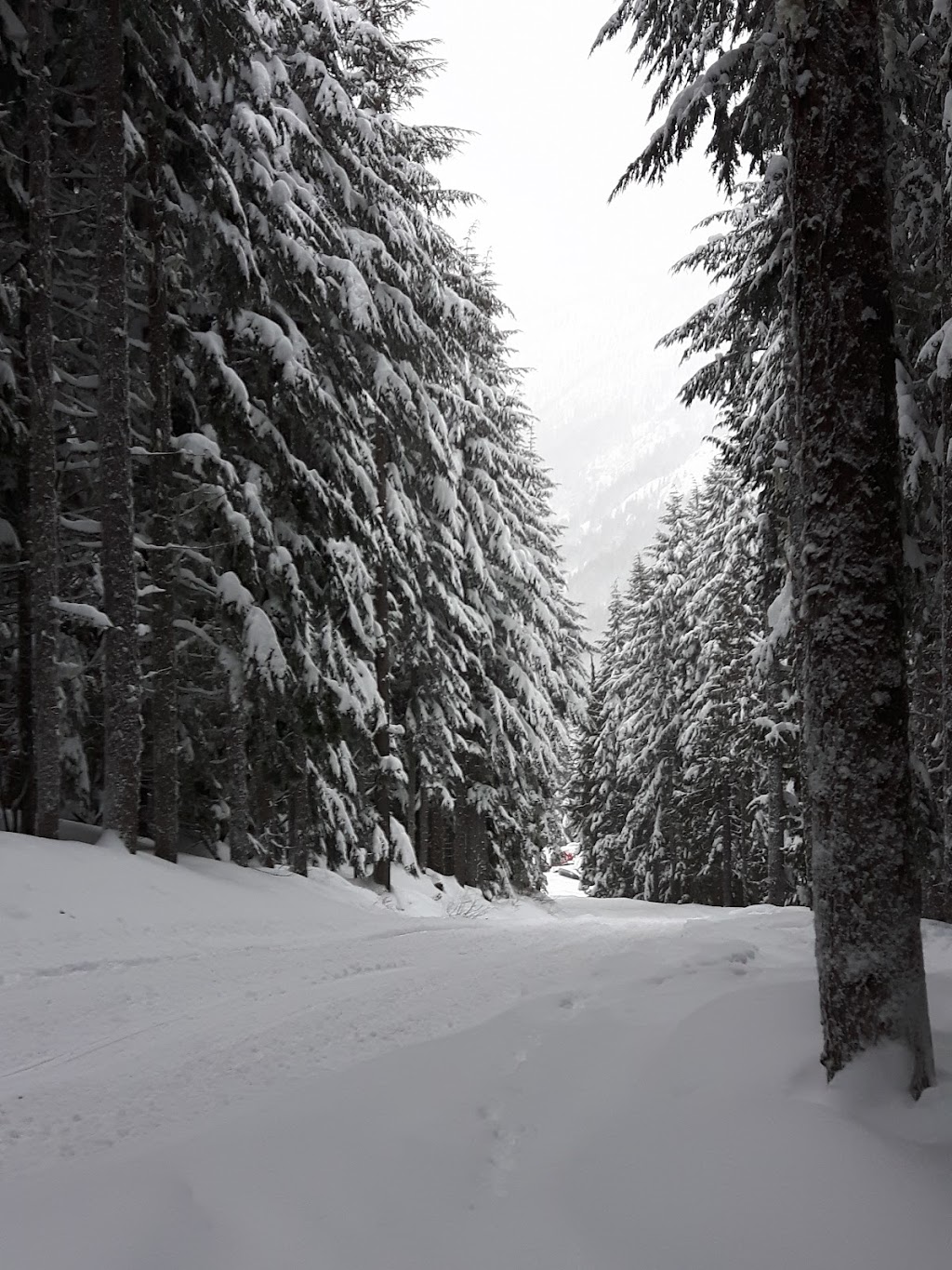 Alpine Inn Restaurant | restaurant | 33818 Crystal Mountain Blvd, Enumclaw, WA 98022, USA | 3606630150 OR +1 360-663-0150