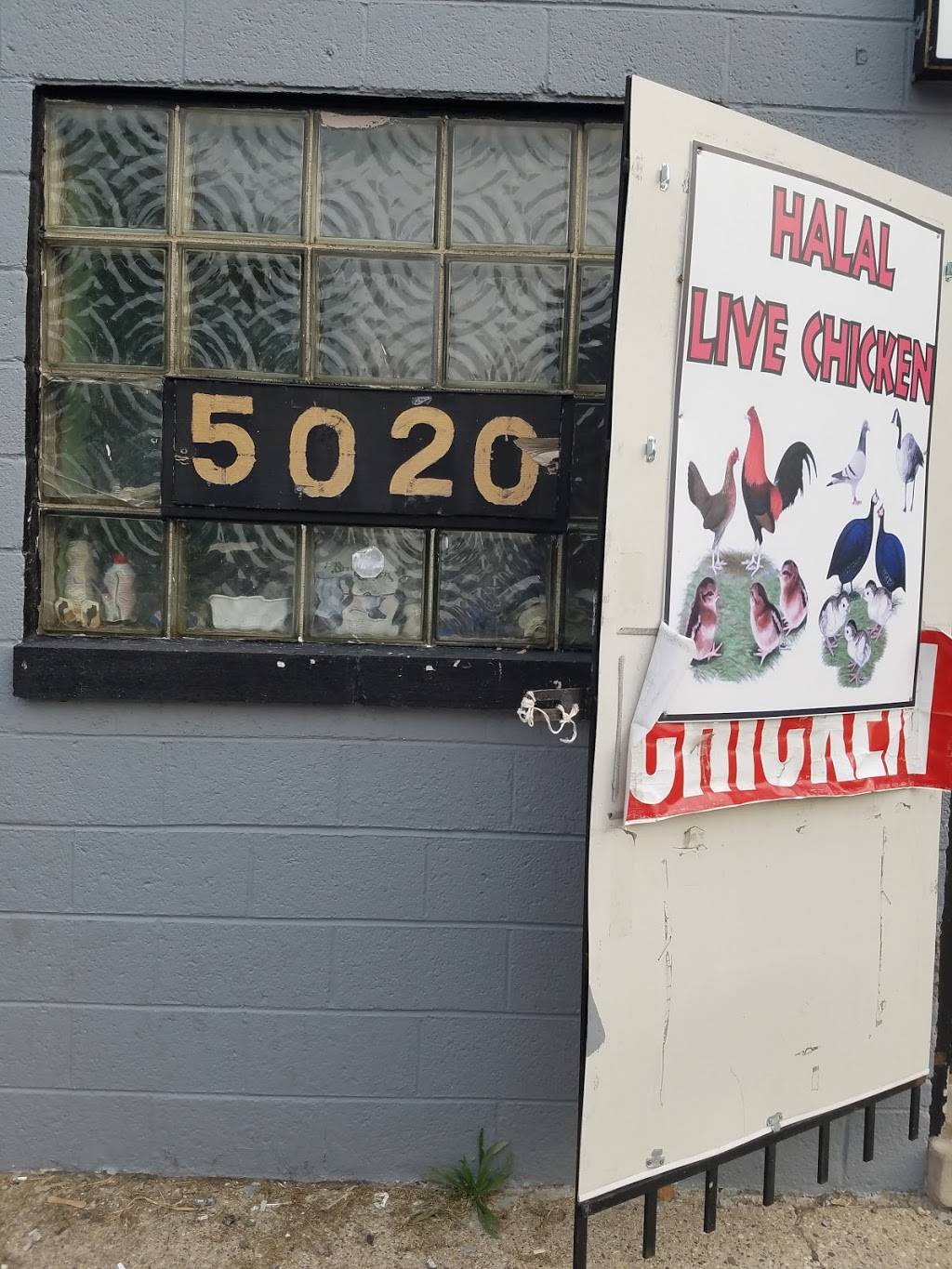 Halal Live Chicken LLC | restaurant | 5020 Edwin St, Hamtramck, MI 48212, USA | 3132858706 OR +1 313-285-8706