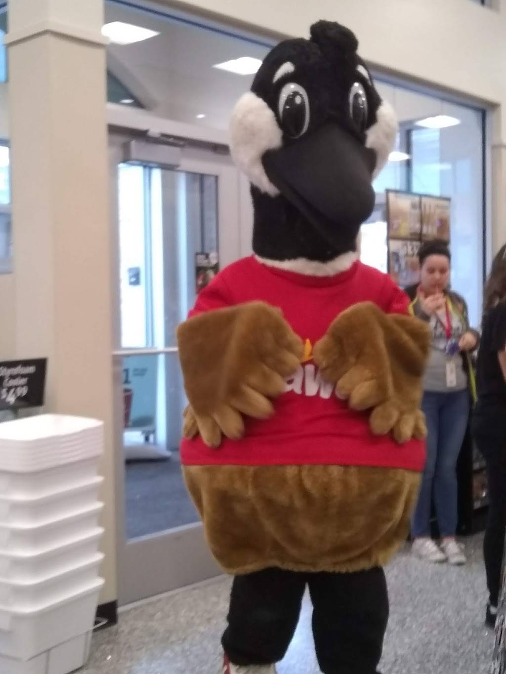 Wawa | cafe | 3080 SE Maricamp Rd, Ocala, FL 34471, USA | 3528400661 OR +1 352-840-0661