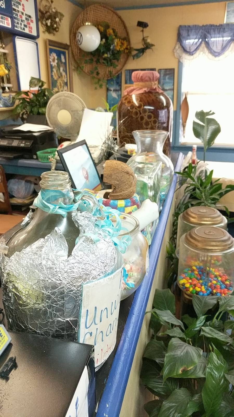 Fayes Home Cooking & BBQ | restaurant | 2600 Old Birmingham Hwy, Sylacauga, AL 35150, USA | 2562450490 OR +1 256-245-0490