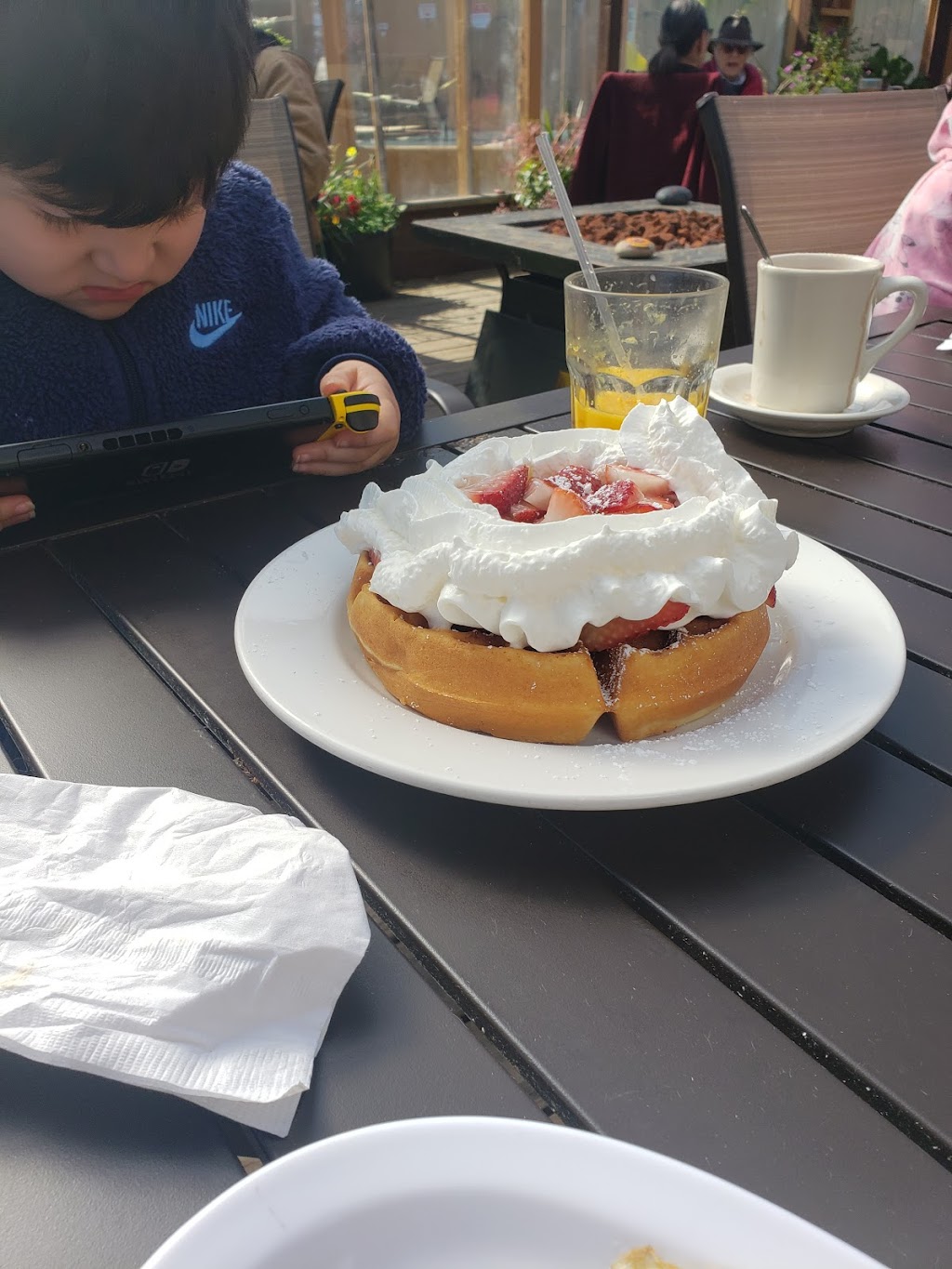 Rollerville Cafe | cafe | 22900 Shoreline Hwy, Point Arena, CA 95468, USA | 7078822077 OR +1 707-882-2077