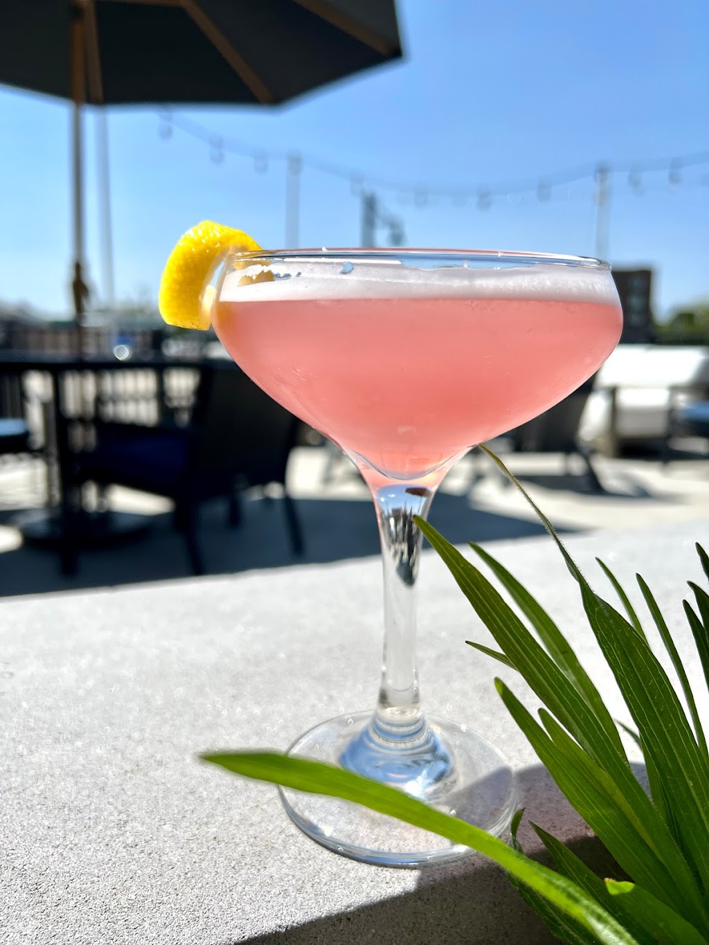 Cut and Run Coffee and Cocktails | cafe | 155 Garland St Suite 101, Traverse City, MI 49684, USA | 2317860220 OR +1 231-786-0220