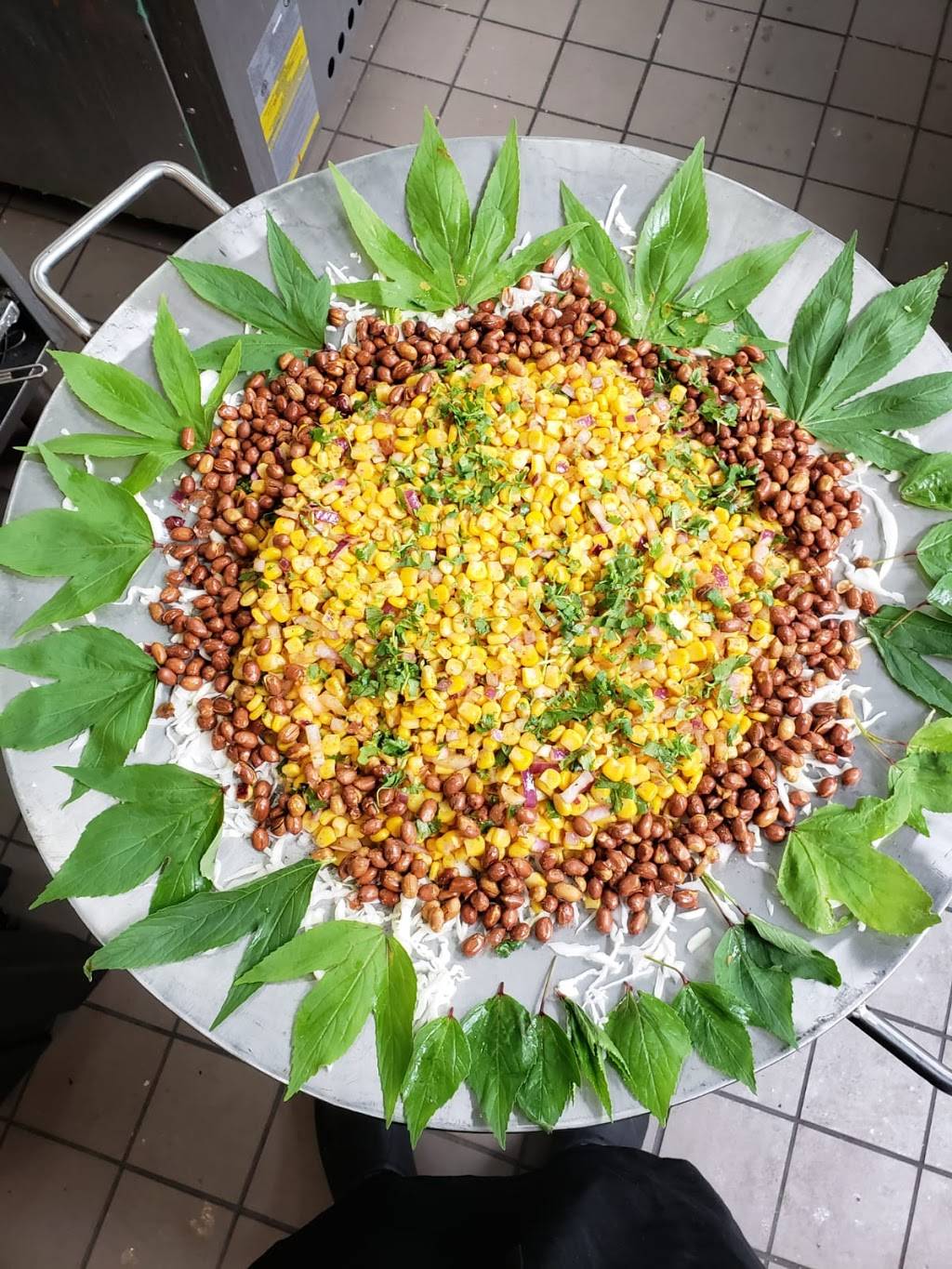 Godavari Philadelphia | restaurant | 630 Lancaster Ave, Malvern, PA 19355, USA | 6102322529 OR +1 610-232-2529