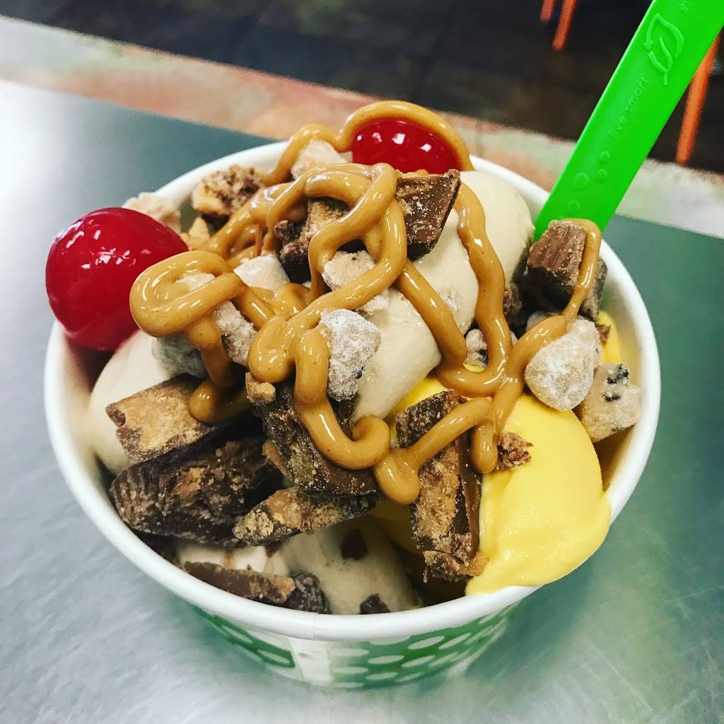 BerryVille Frozen Yogurt | cafe | 131 N Woodland Blvd, DeLand, FL 32720, USA | 3862790141 OR +1 386-279-0141
