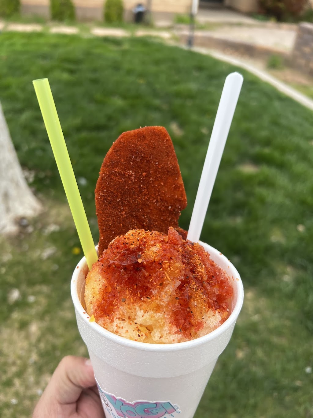 YoGi Snow & treats | meal takeaway | 2728 Santa Clara Dr, Santa Clara, UT 84765, USA | 4355749688 OR +1 435-574-9688