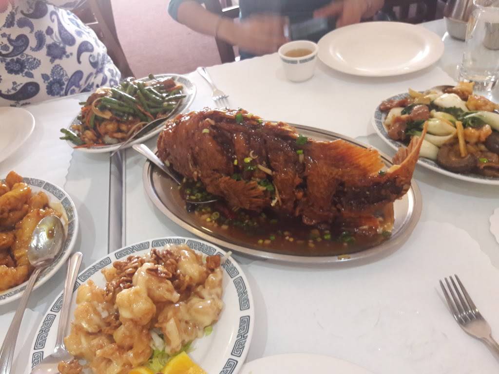 Double Dragon | restaurant | 2621 Somersville Rd, Antioch, CA 94509, USA | 9257531763 OR +1 925-753-1763