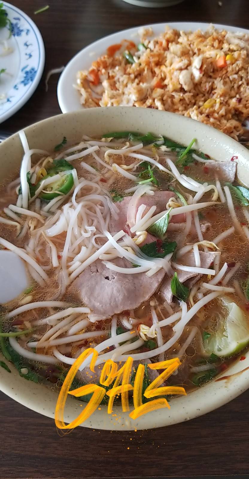 Little Saigon Cafe | restaurant | 1975 Wells Rd, Orange Park, FL 32073, USA | 9043750061 OR +1 904-375-0061