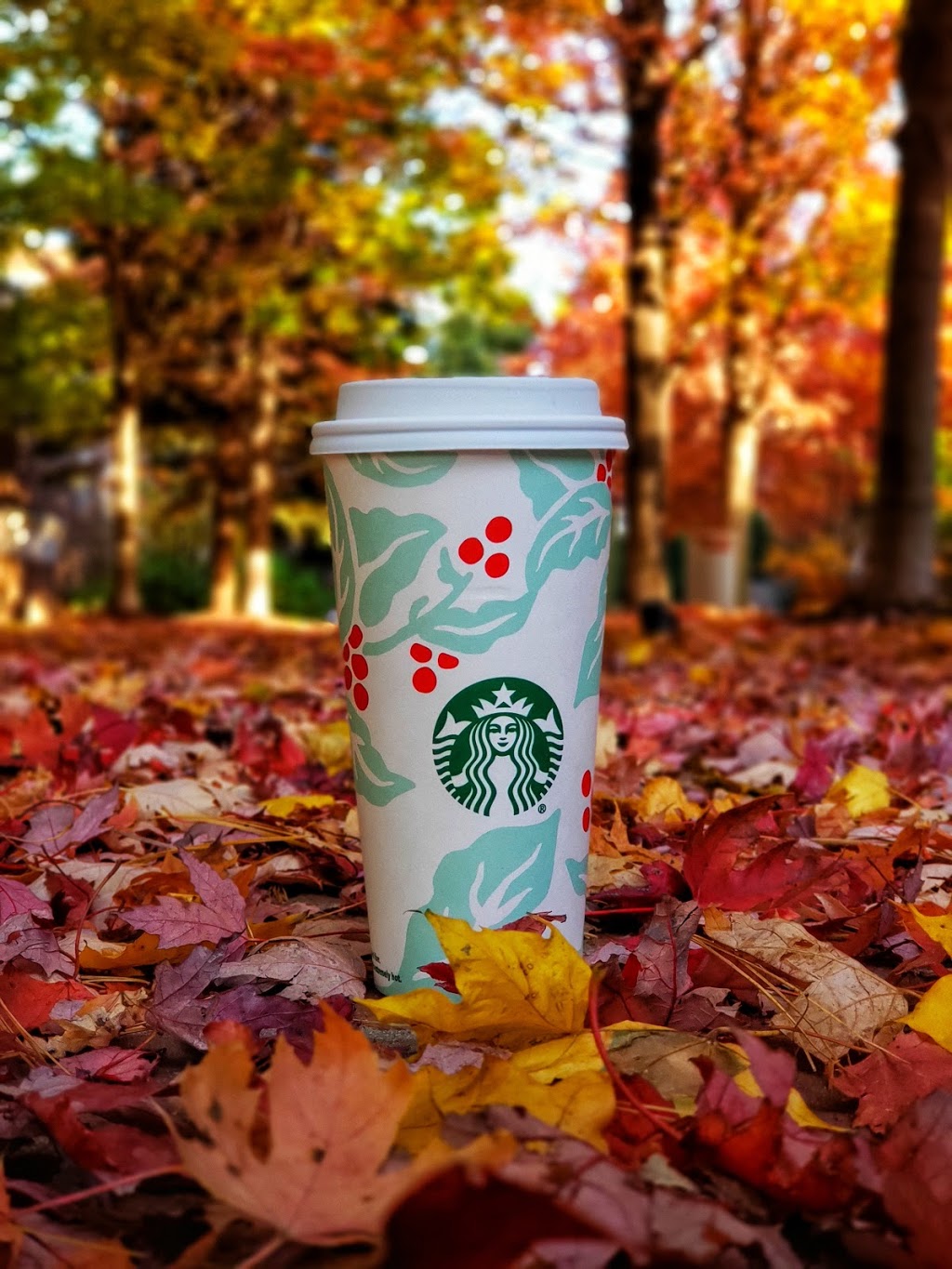 Starbucks | cafe | 3184 N Clark St, Chicago, IL 60657, USA | 7739359270 OR +1 773-935-9270