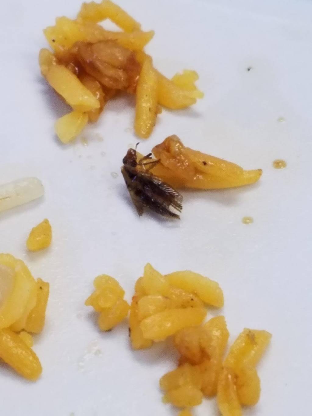 Kennys Sub Shop | meal takeaway | 288 N Frederick Ave, Gaithersburg, MD 20877, USA | 3019632038 OR +1 301-963-2038