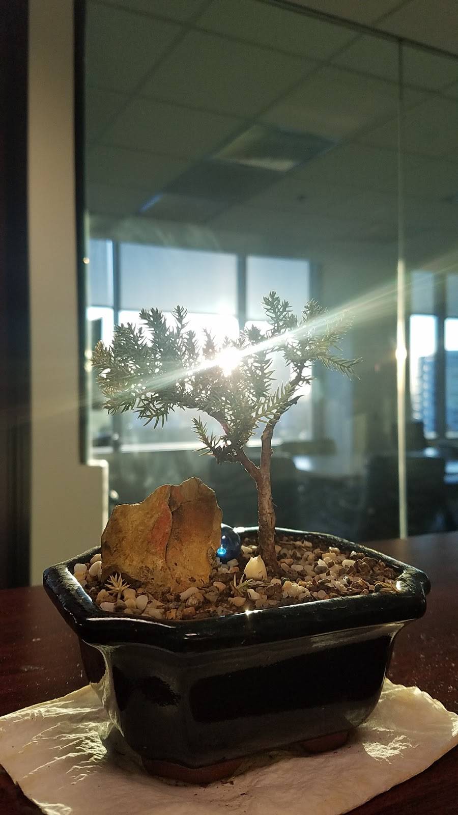 Innovative Dining Group | restaurant | 9200 Sunset Blvd, West Hollywood, CA 90069, USA | 3102716000 OR +1 310-271-6000