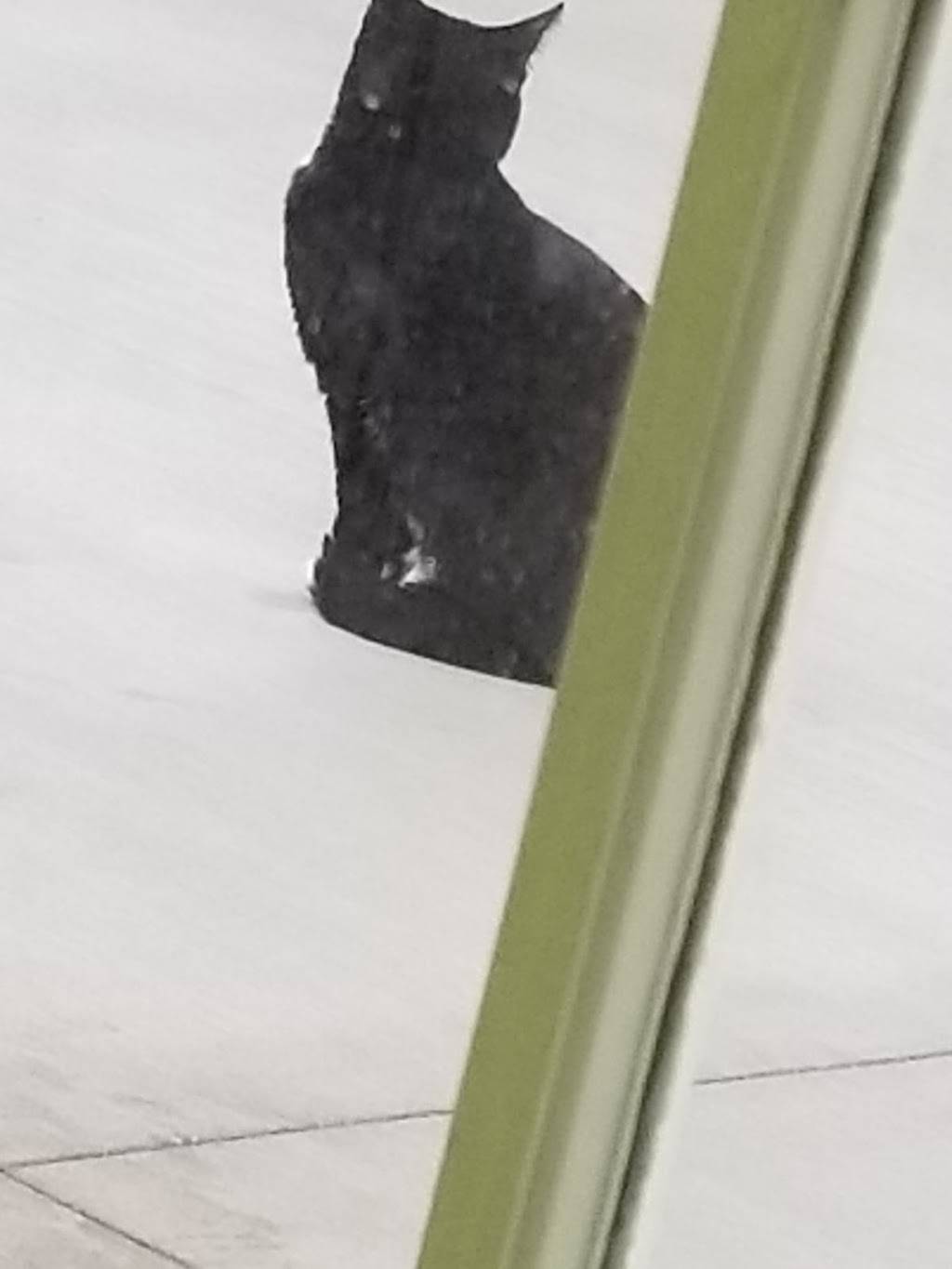 Ramen Bar | restaurant | Unnamed Road, Lancaster, CA 93534, USA | 6615799393 OR +1 661-579-9393