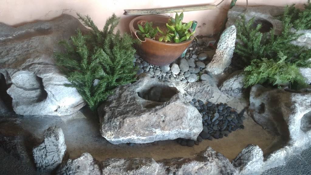 Crazy Tokyo Sushi | restaurant | 21801 Ventura Blvd, Woodland Hills, CA 91364, USA | 8189995060 OR +1 818-999-5060