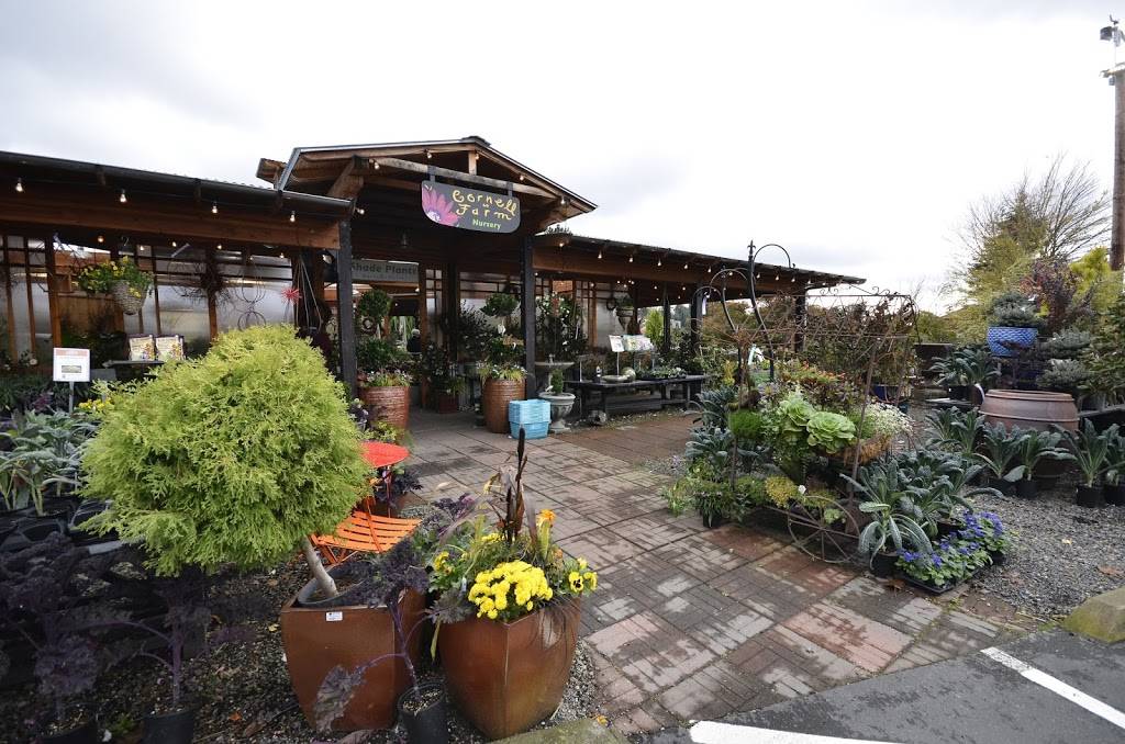 Cornell Farm | restaurant | 8212 SW Barnes Rd, Portland, OR 97225, USA | 5032929895 OR +1 503-292-9895