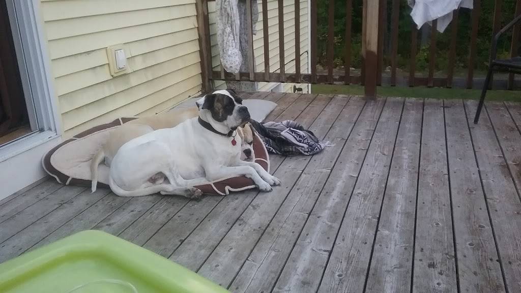 The Mug Restaurant | meal takeaway | 62 Daniel Webster Hwy, Center Harbor, NH 03226, USA | 6032798596 OR +1 603-279-8596