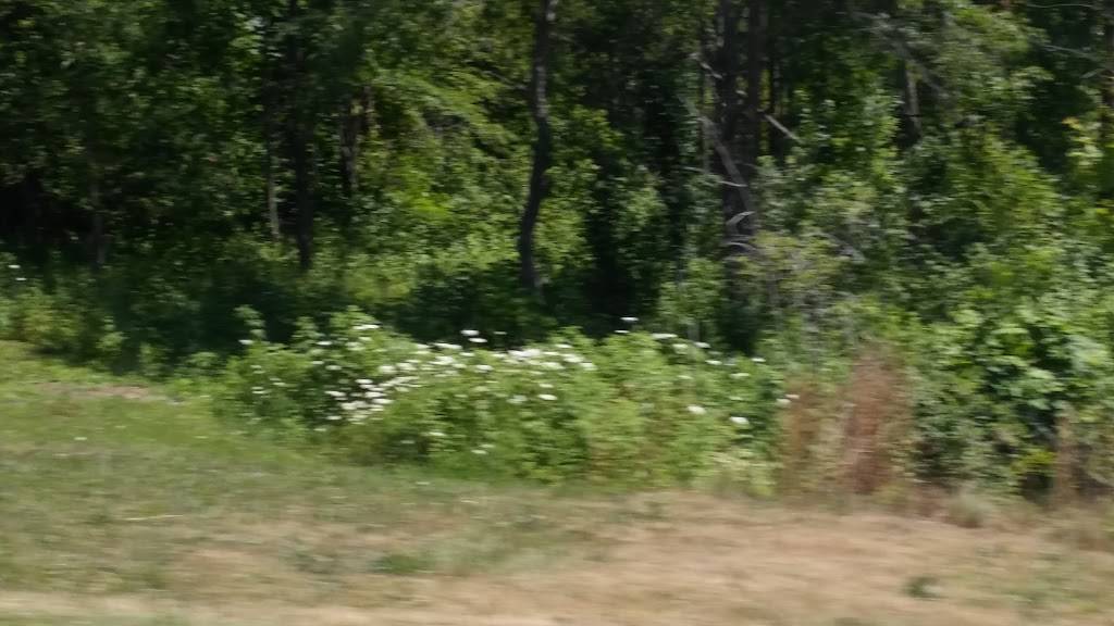 Williams Inn | restaurant | 1724 S Lakeshore Rd, Harbor Beach, MI 48441, USA | 9894793361 OR +1 989-479-3361