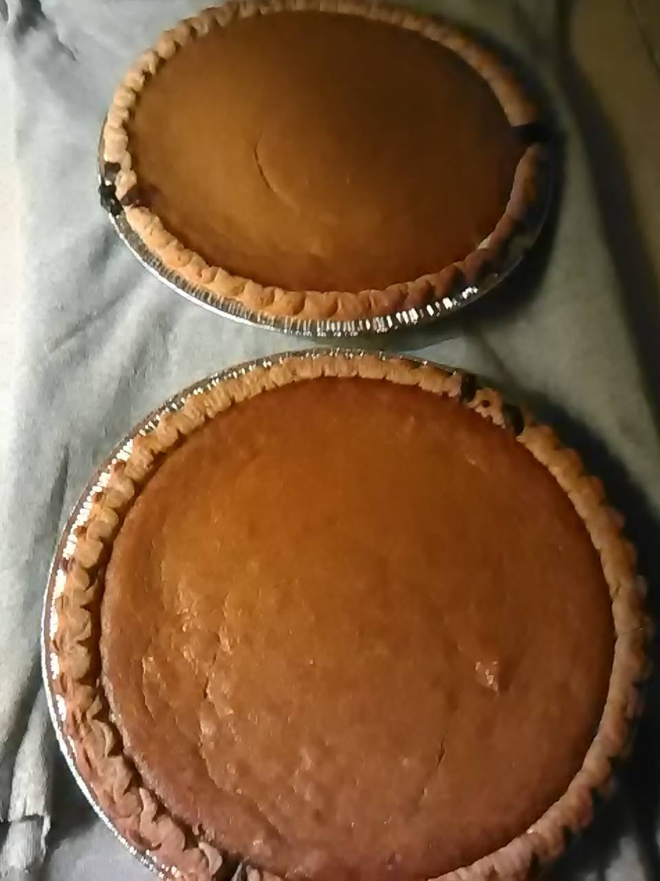 TASTE DIZ FOOD & CATERING | restaurant | 3623 N 52nd St, Tampa, FL 33619, USA | 8138025307 OR +1 813-802-5307