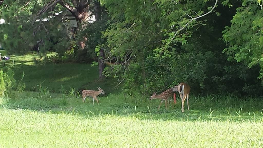 Tarpon Woods Golf Club | restaurant | 1100 Tarpon Woods Blvd, Palm Harbor, FL 34685, USA | 7277847606 OR +1 727-784-7606