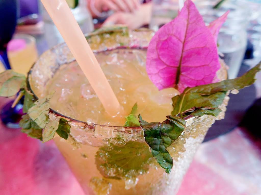 Chillbar | restaurant | 3080 Sheridan St, Hollywood, FL 33021, USA | 9545993211 OR +1 954-599-3211