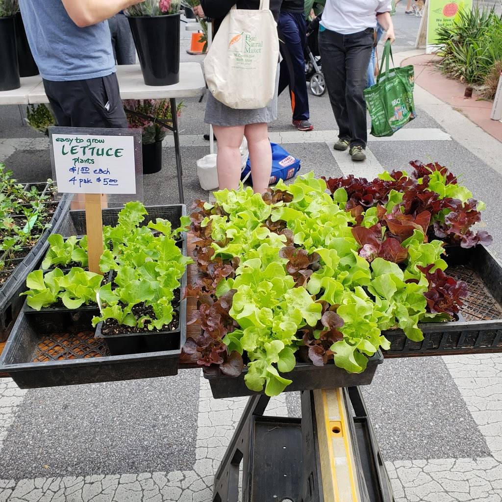 Marks Kitchen | restaurant | 7006 Carroll Ave, Takoma Park, MD 20912, USA | 3012701884 OR +1 301-270-1884