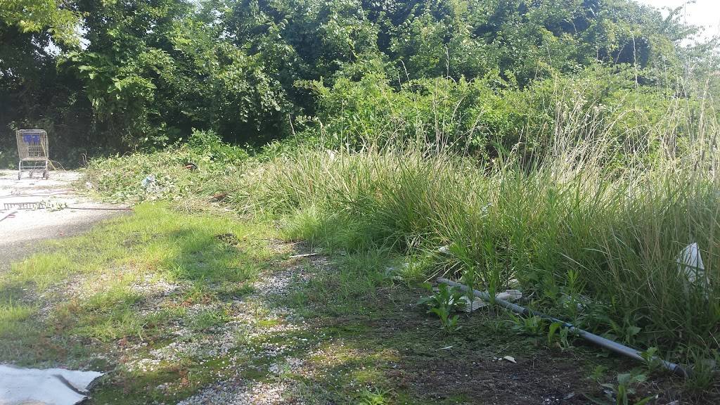 Subway Restaurants | restaurant | 6322 Kenwood Ave, Baltimore, MD 21237, USA | 4438680999 OR +1 443-868-0999