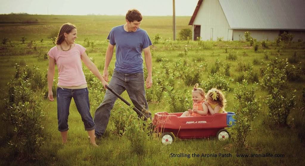 LIFE- Levis Indigenous Fruit Enterprises | restaurant | 1045 210th St, Keota, IA 52248, USA | 3199611438 OR +1 319-961-1438