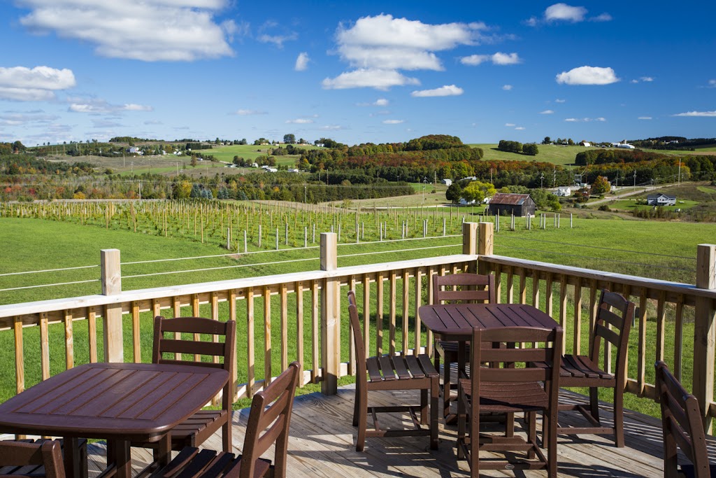 Petoskey Farms Vineyard & Winery | restaurant | 3720 Atkins Rd, Petoskey, MI 49770, USA | 2312909463 OR +1 231-290-9463