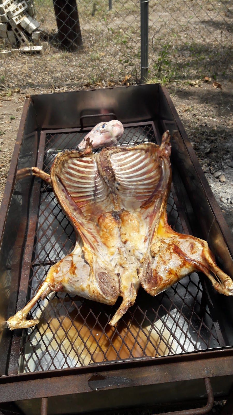 Taqueria Yolis | restaurant | 5300 San Marcos St Drive, Edinburg, TX 78539, USA | 9567822104 OR +1 956-782-2104