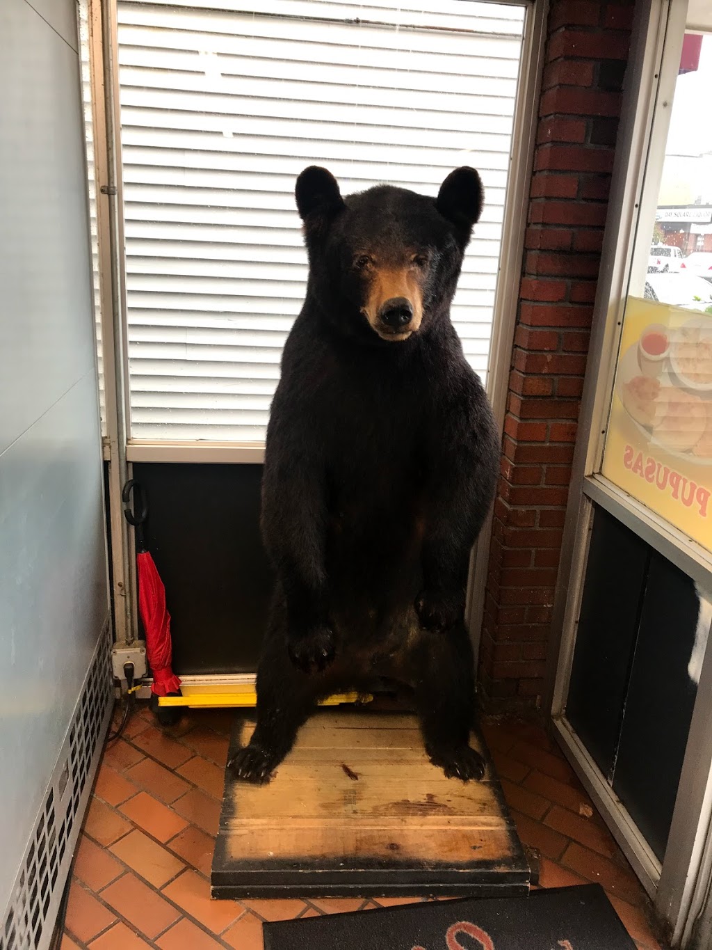 Pueblo Viejo # 2 | restaurant | 309 Bennington St, Boston, MA 02128, USA | 6175619333 OR +1 617-561-9333