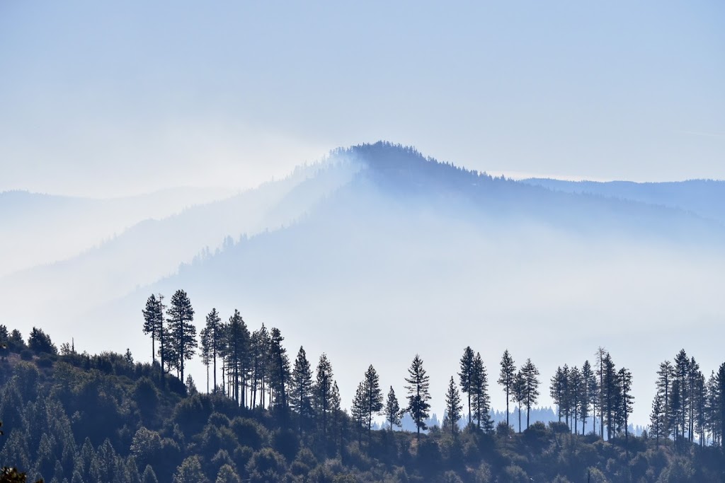 Ice House Resort | restaurant | 9199 Ice House Rd, Pollock Pines, CA 95726, USA | 5302933321 OR +1 530-293-3321