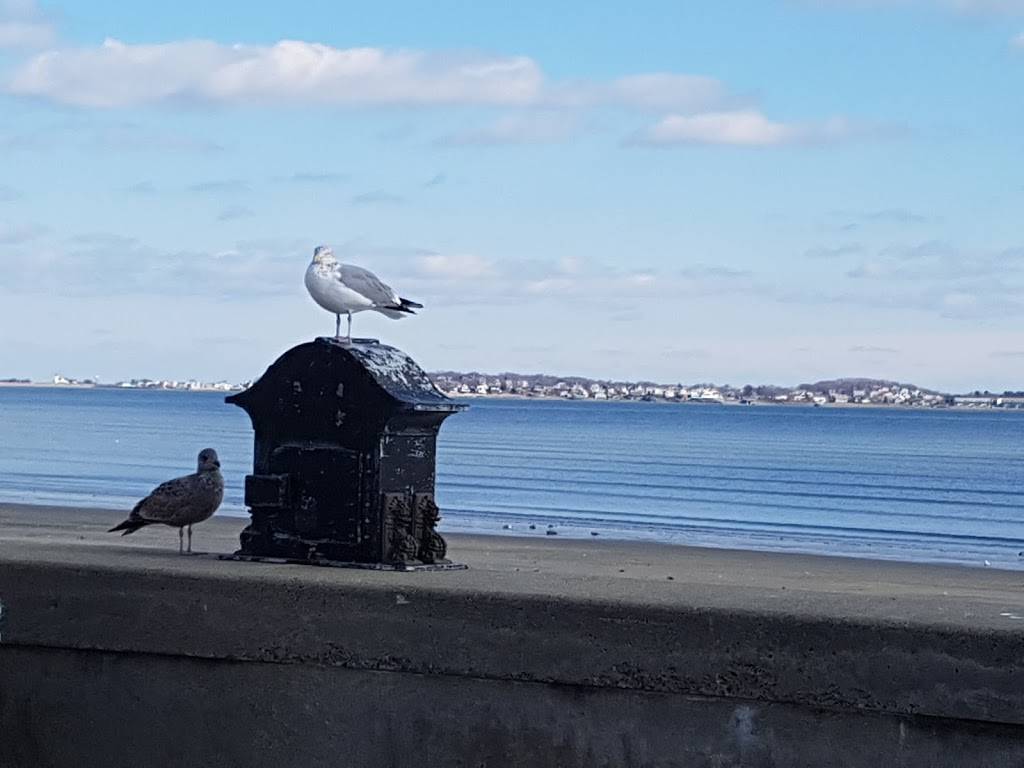 Bianchis Pizza | restaurant | 322 Revere Beach Blvd, Revere, MA 02151, USA | 7812849472 OR +1 781-284-9472