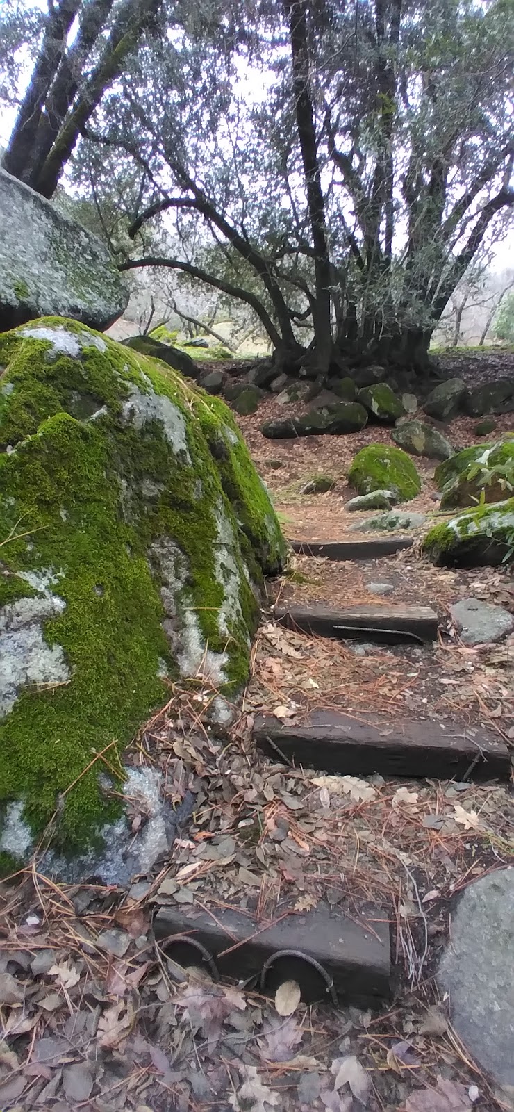 Deer Creek Lodge Restaurant | restaurant | 40896 Hot Springs Dr, California Hot Springs, CA 93207, USA | 6618290663 OR +1 661-829-0663